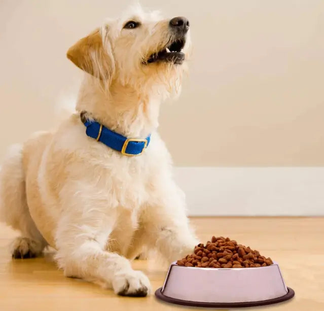 Stainless Steel Non-Skid Pet Feeding Bowl 750 ml
